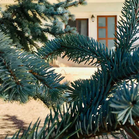 Appartement Andalù San Giovanni Rotondo