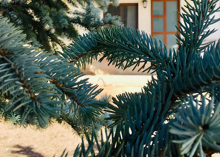 Appartamento Andalù San Giovanni Rotondo